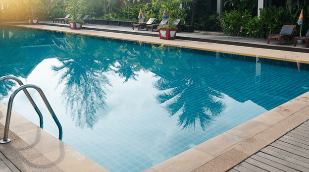 Pool Image with palm trees