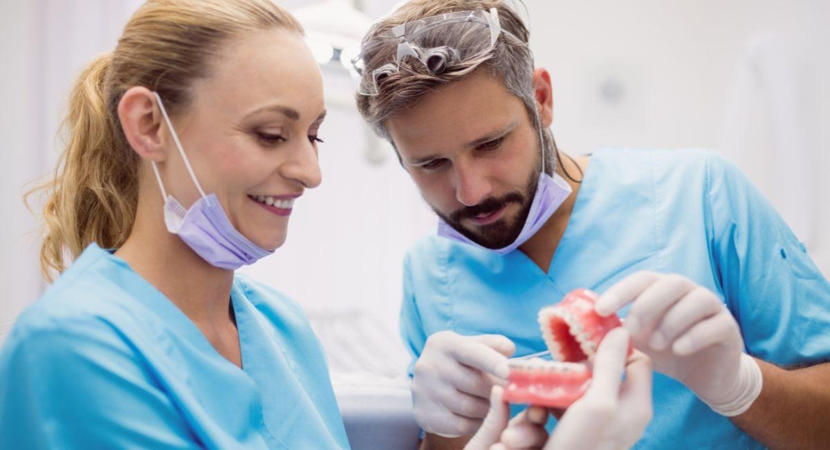 Two doctors are holding and observing jawbone after dentures